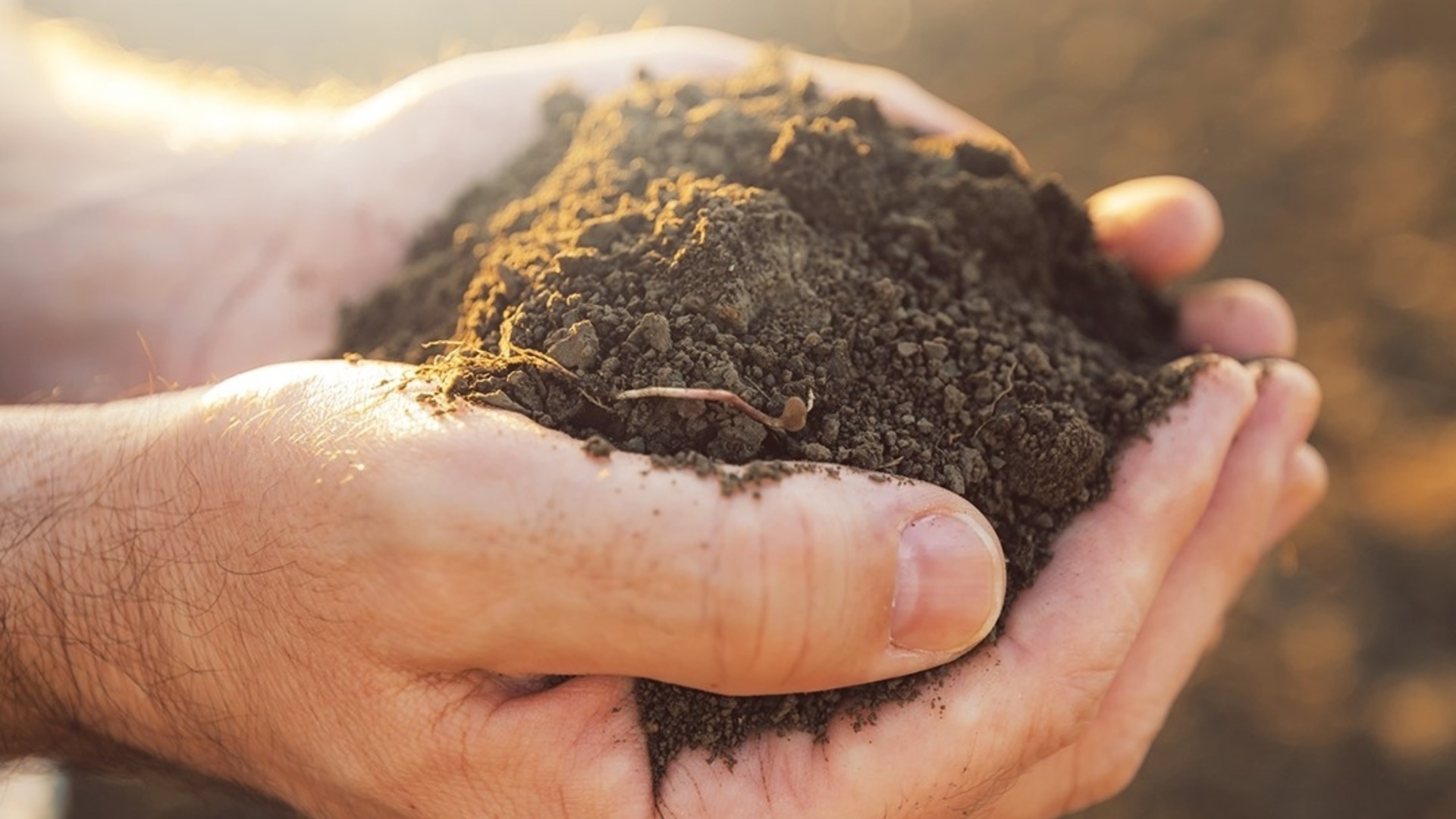 «Агрион» призывает владельцев не пропускать сроки продажи земли