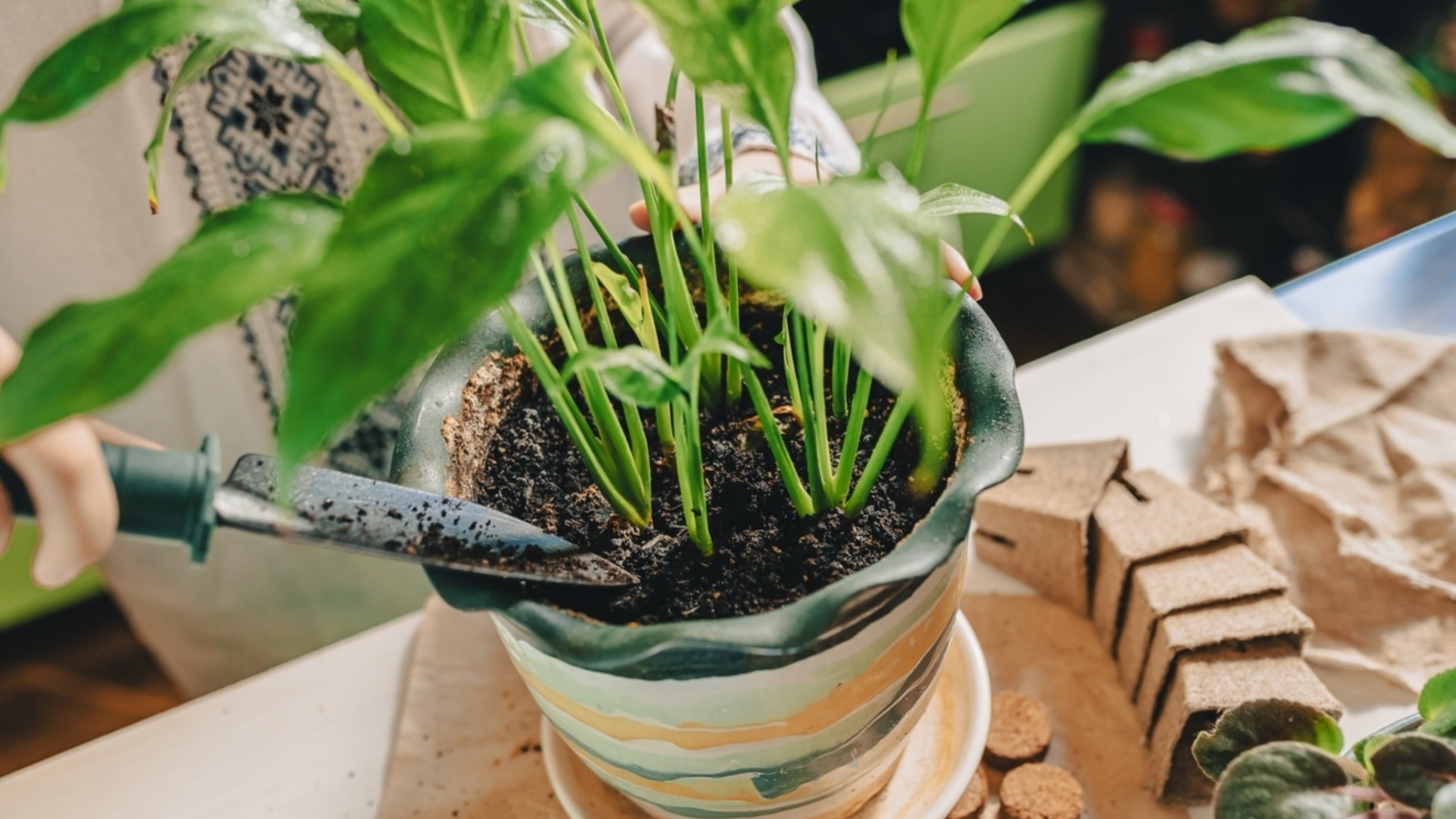 Как сохранить влажность почвы, когда на улице холодно