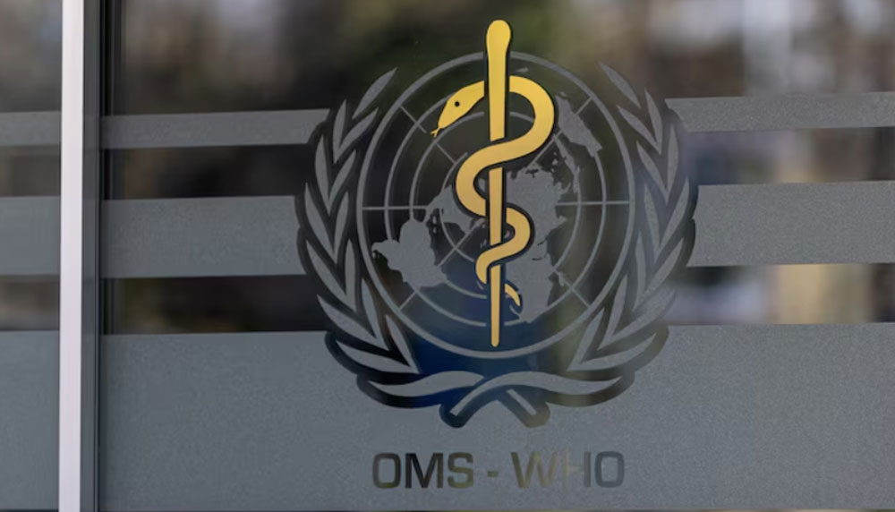 В ВОЗ заявили, что в 2024 году число смертей от малярии увеличится