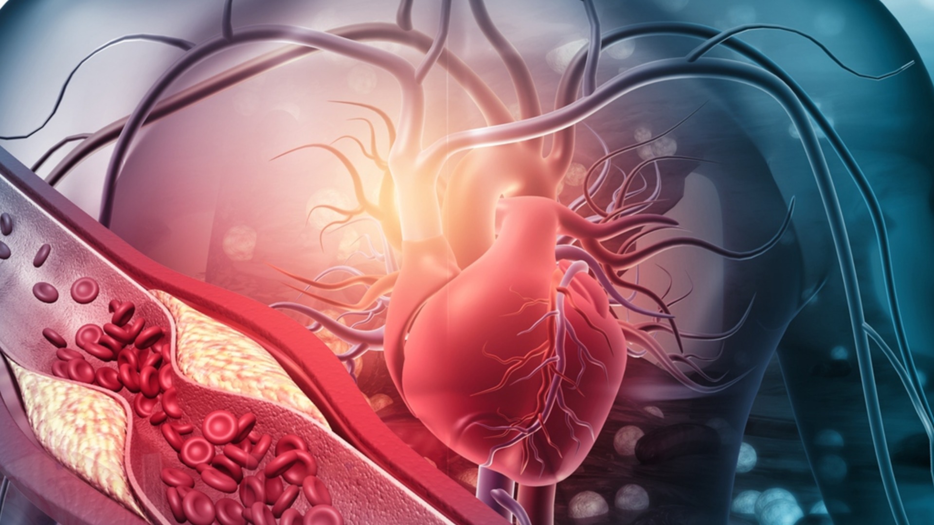 5 продуктов, которые улучшают здоровье сосудов