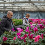 Цветы как вызов и бизнес: История «Флоры Цвет» и поддержка «ДПМ Челопеч»