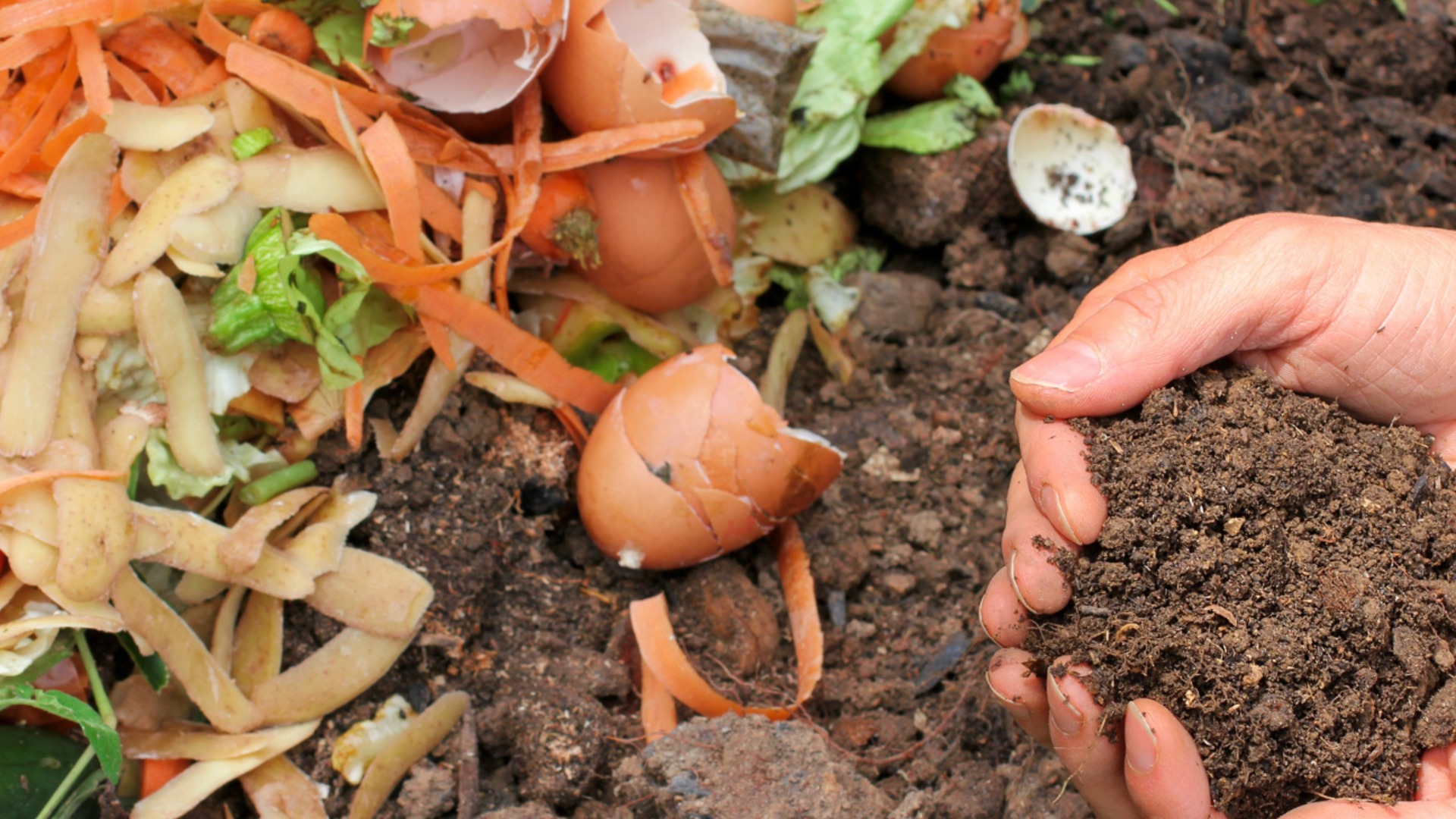 Никогда не компостируйте растения, если существует эта конкретная проблема.