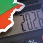 Бесплатная рождественская елка помогает малому бизнесу справиться с евро