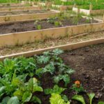 Умный трюк с алюминиевой фольгой для отпугивания вредителей в саду