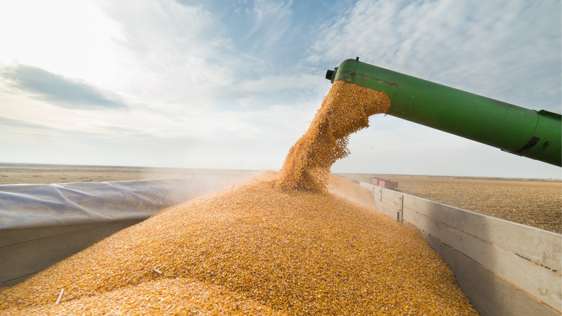 Европа жертвует своим сельским хозяйством в ущерб производству автомобилей: болгарский производитель за соглашение с МЕРКОСУР