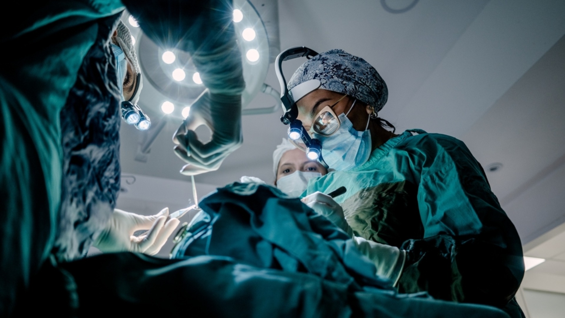 Прорыв: им удалось изменить группу крови органа перед трансплантацией