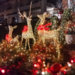 Выносливые вечнозеленые растения для наружного украшения, которые прослужат долгое время.