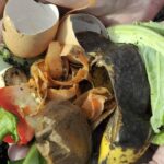 Кухонные отходы, которыми можно удобрить свой сад