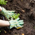 Как предотвратить уплотнение почвы в холодные месяцы