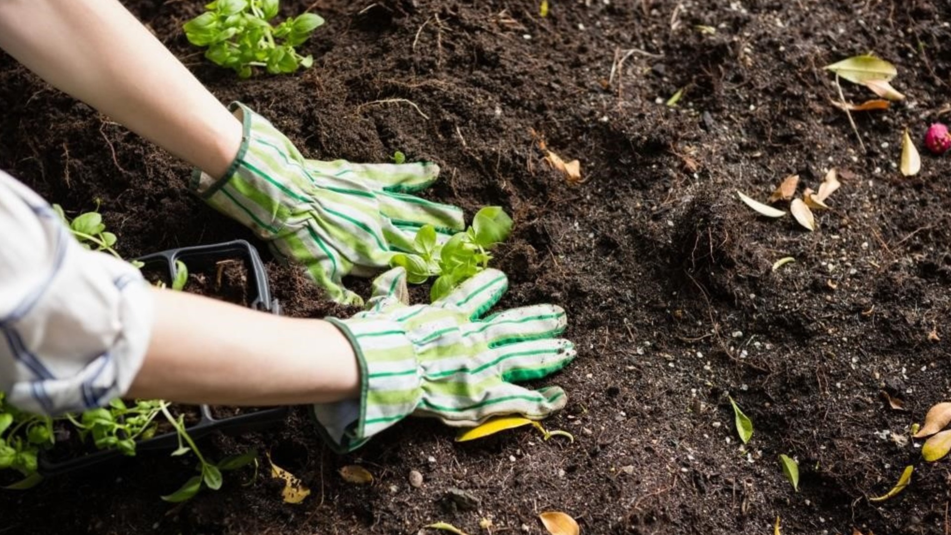Как предотвратить уплотнение почвы в холодные месяцы
