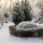 Умный способ сохранить почву теплой в зимние месяцы.