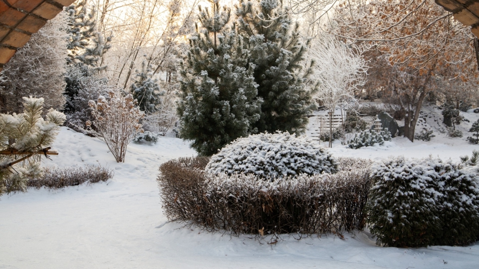Умный способ сохранить почву теплой в зимние месяцы.