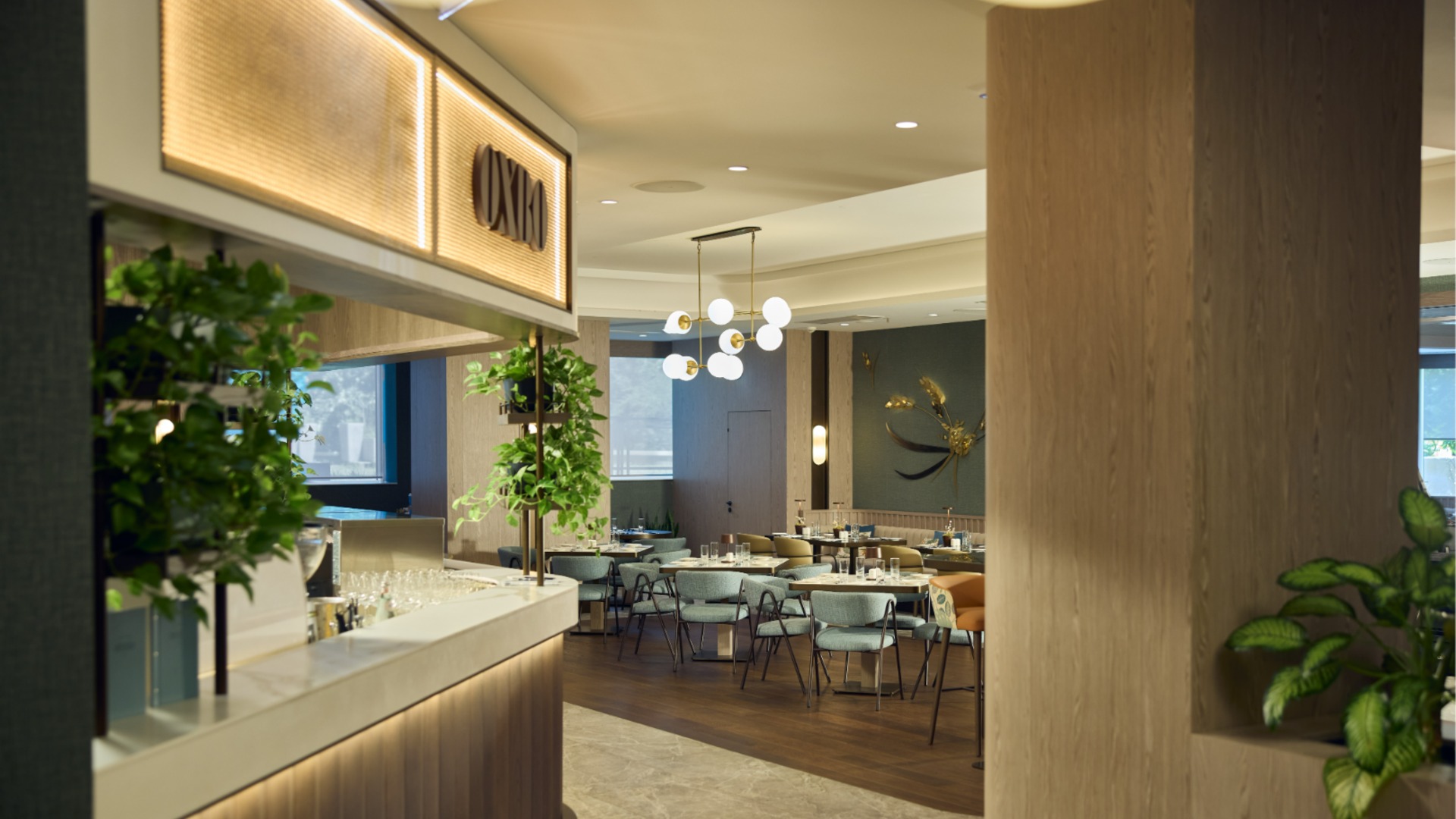 Вечер, посвященный любви: День святого Валентина в ресторане OXBO