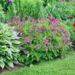 Как уберечь растения от излишней влаги в декабре