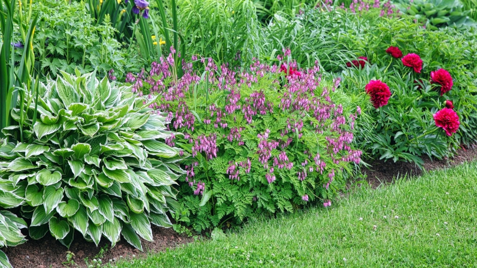 Как уберечь растения от излишней влаги в декабре