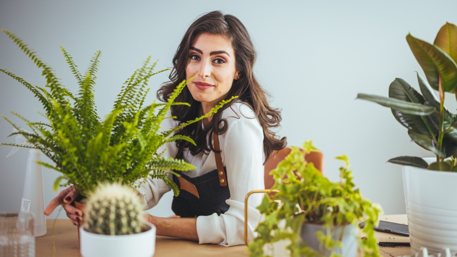 Недостаточно света зимой? Удвойте его зеркалом или фольгой позади растений.