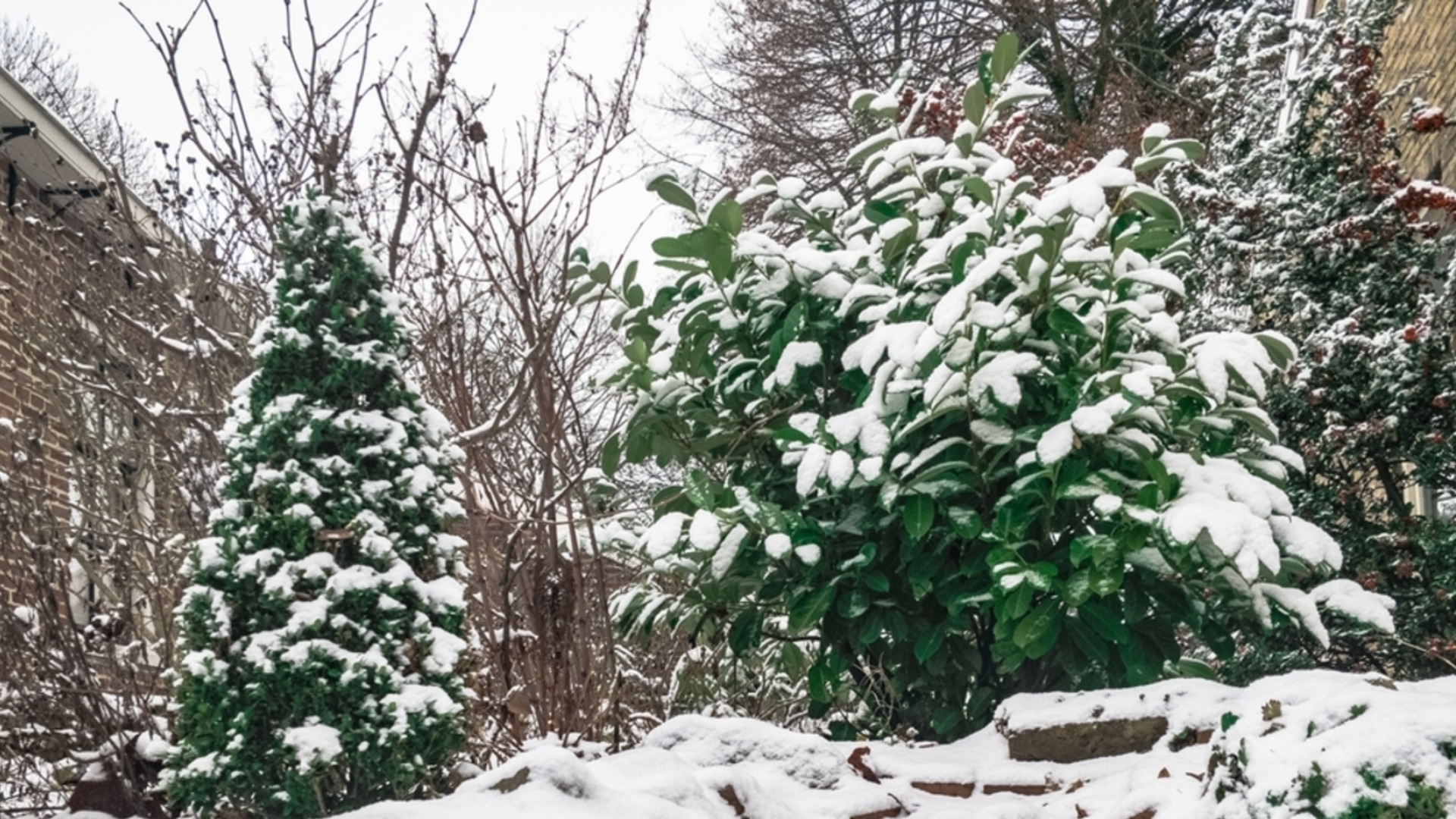 Что нужно делать в саду уже в январе, если хотите богатый урожай