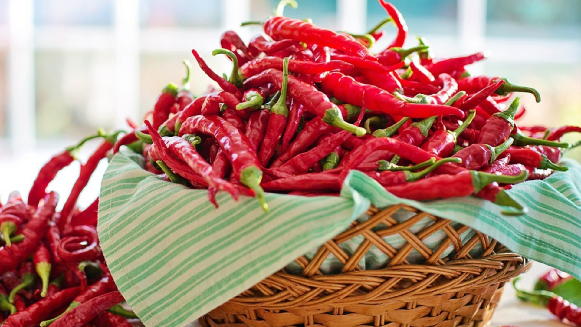 Лучшие сорта перца для выращивания в помещении для получения круглогодичного урожая