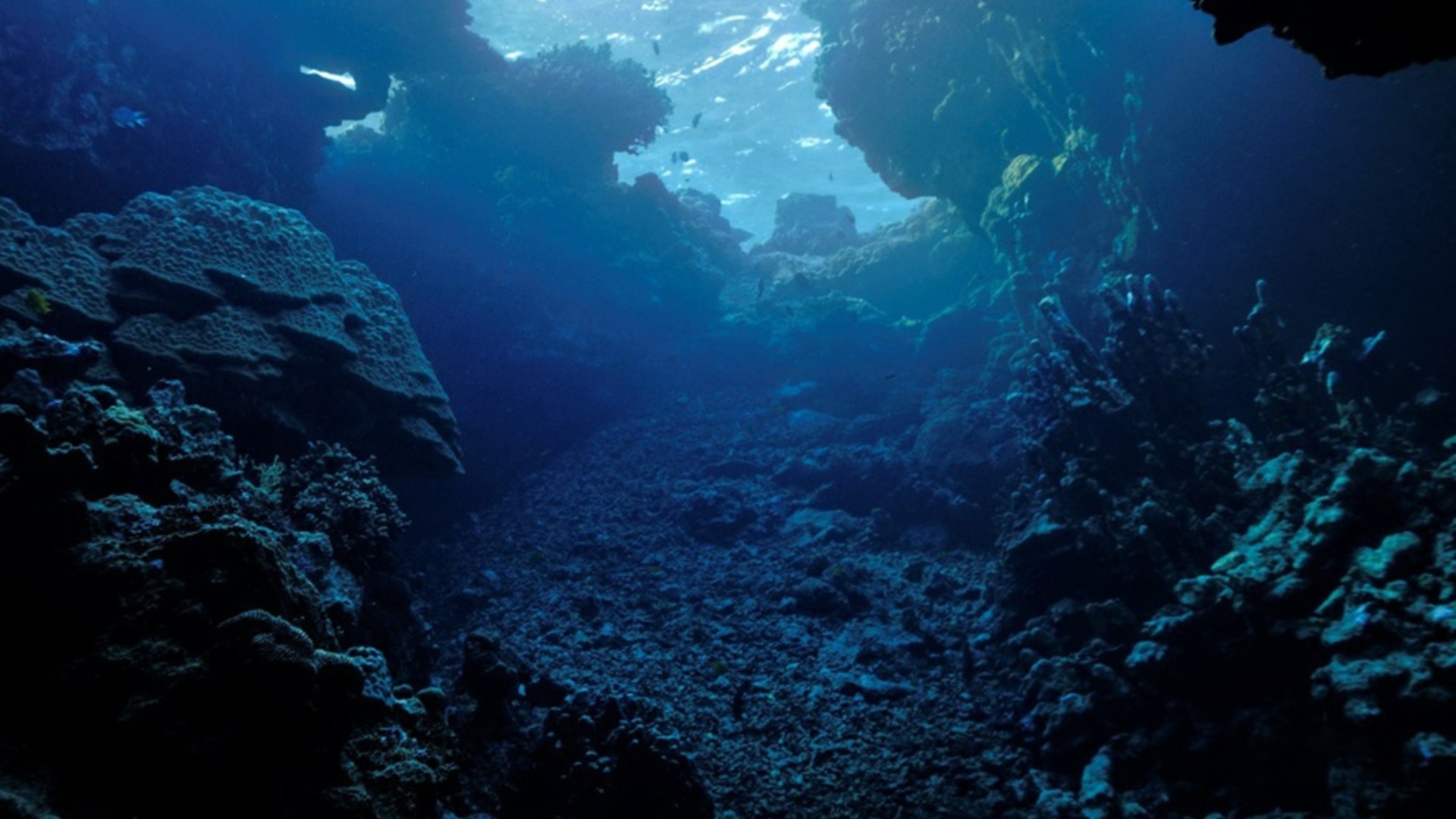 Япония первой в мире начала добычу редкоземельных металлов со дна моря