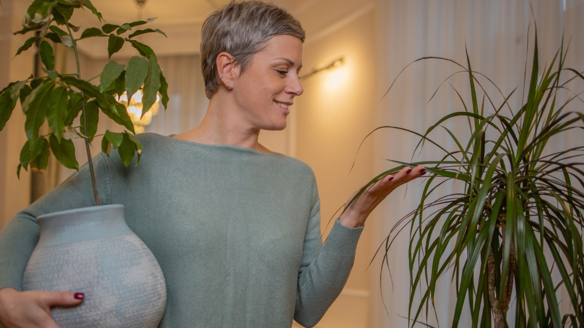 Какие растения купить в 2026 году? Эти типы будут настоящим хитом!