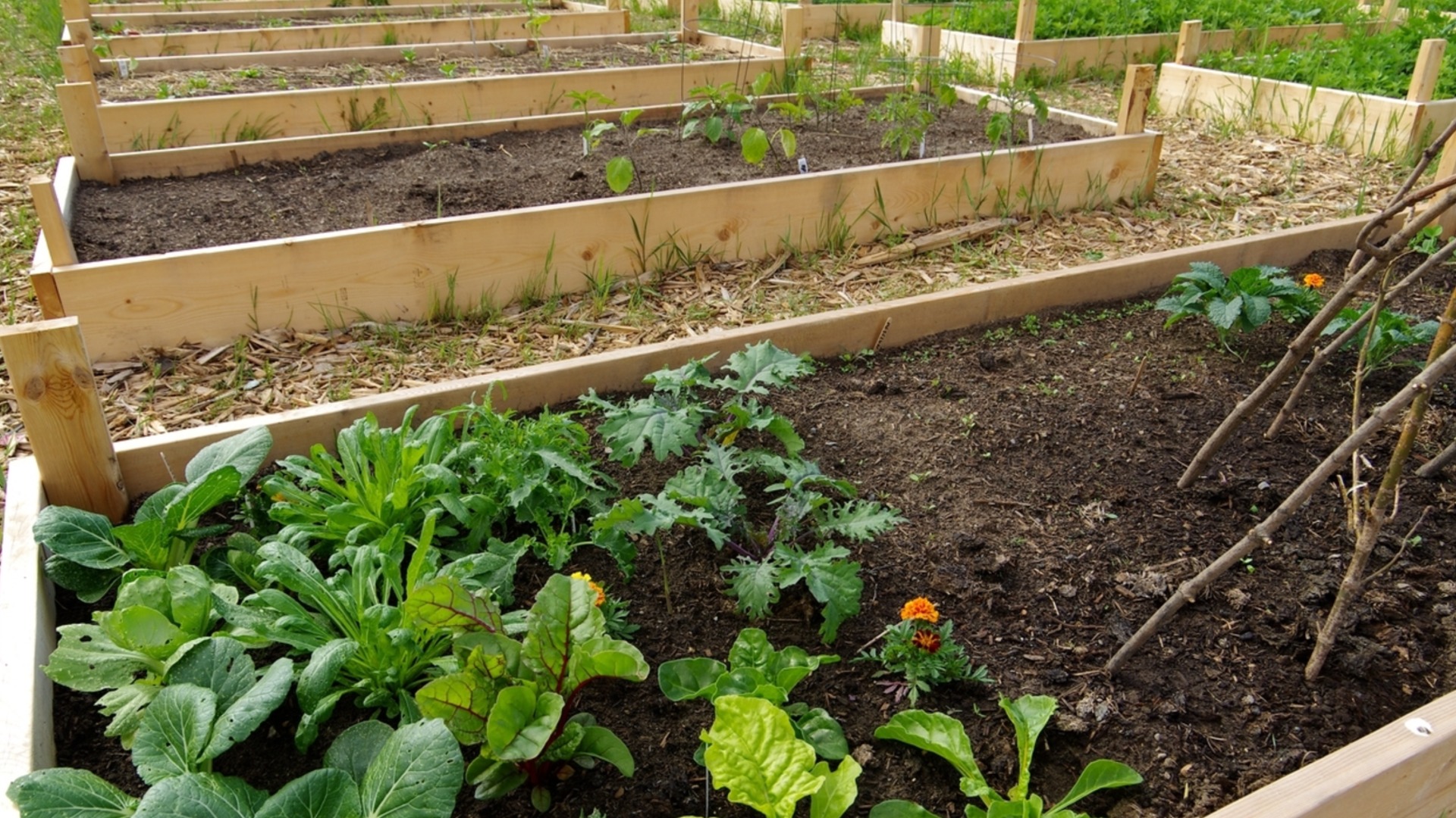 Как сделать теплое одеяло из старых одеял на кровати.