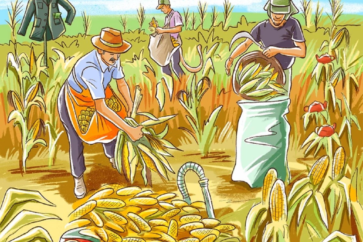 Найдите четыре ошибки на картинке. У тебя есть всего 13 секунд