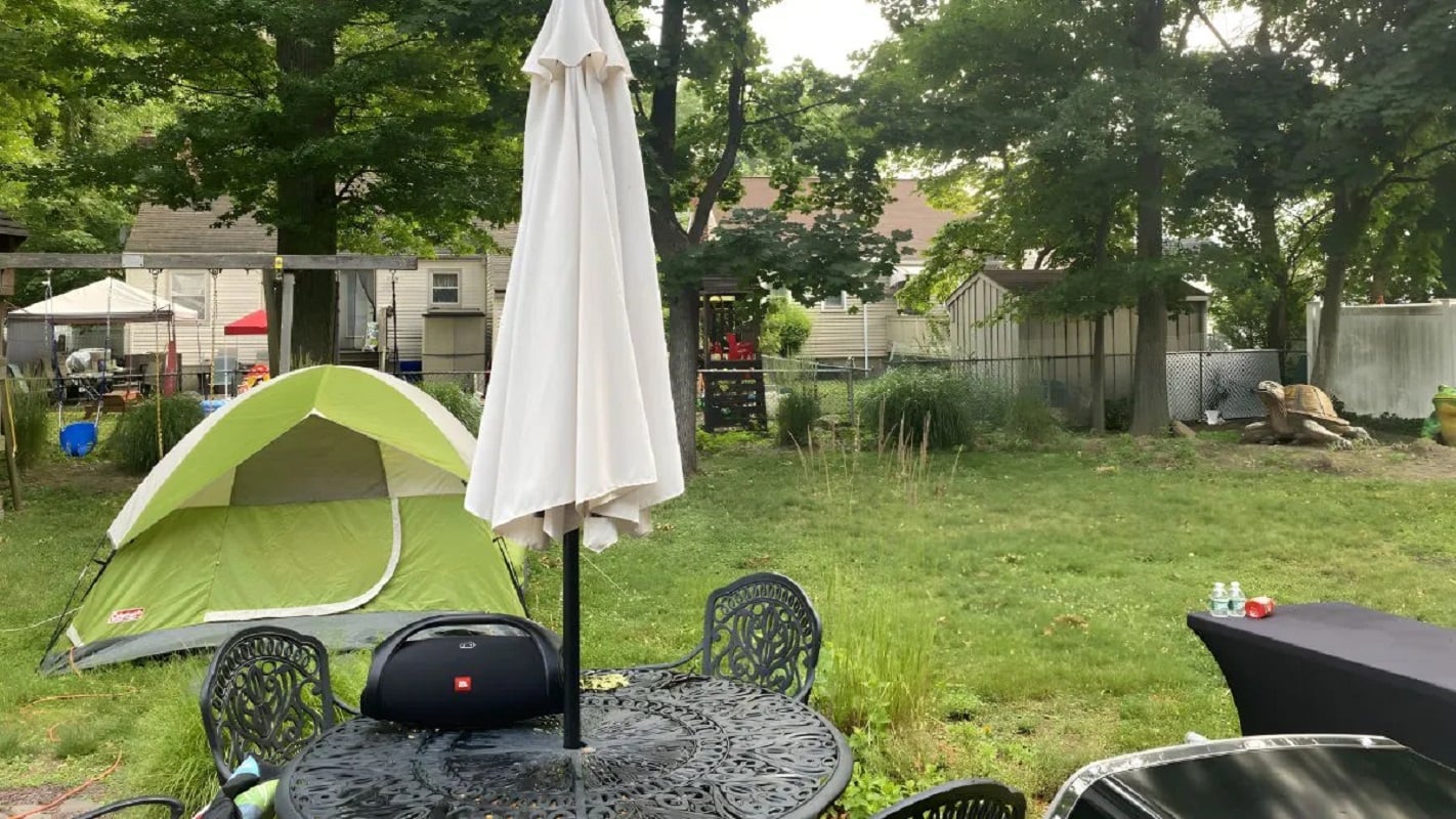 На картинке ниже прячется олень. У вас есть 19 секунд, чтобы найти его.