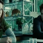 Сколько стоили «Сумерки» и почему фильмы стали успешными