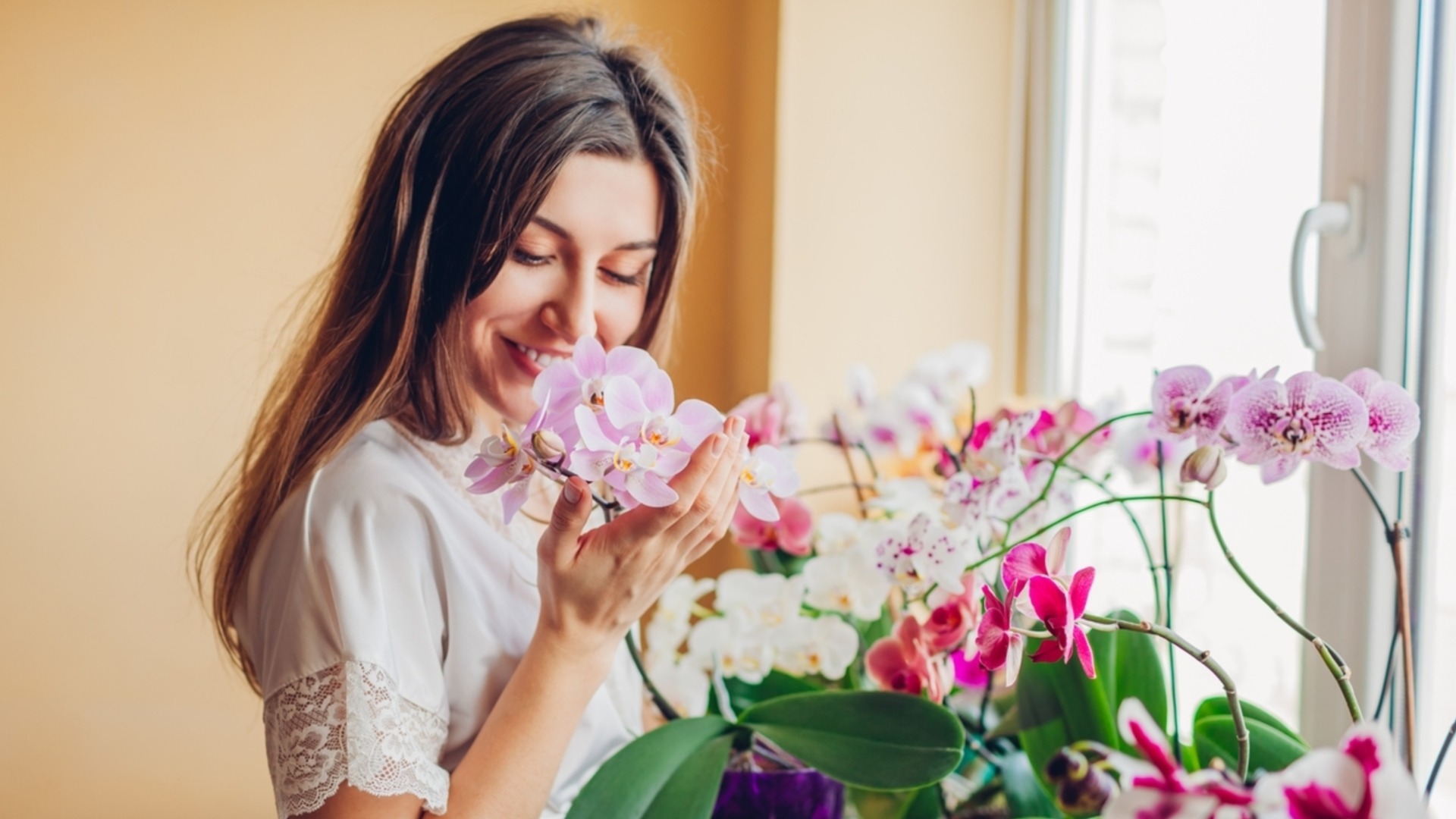 Как защитить корни орхидеи от вымерзания зимой