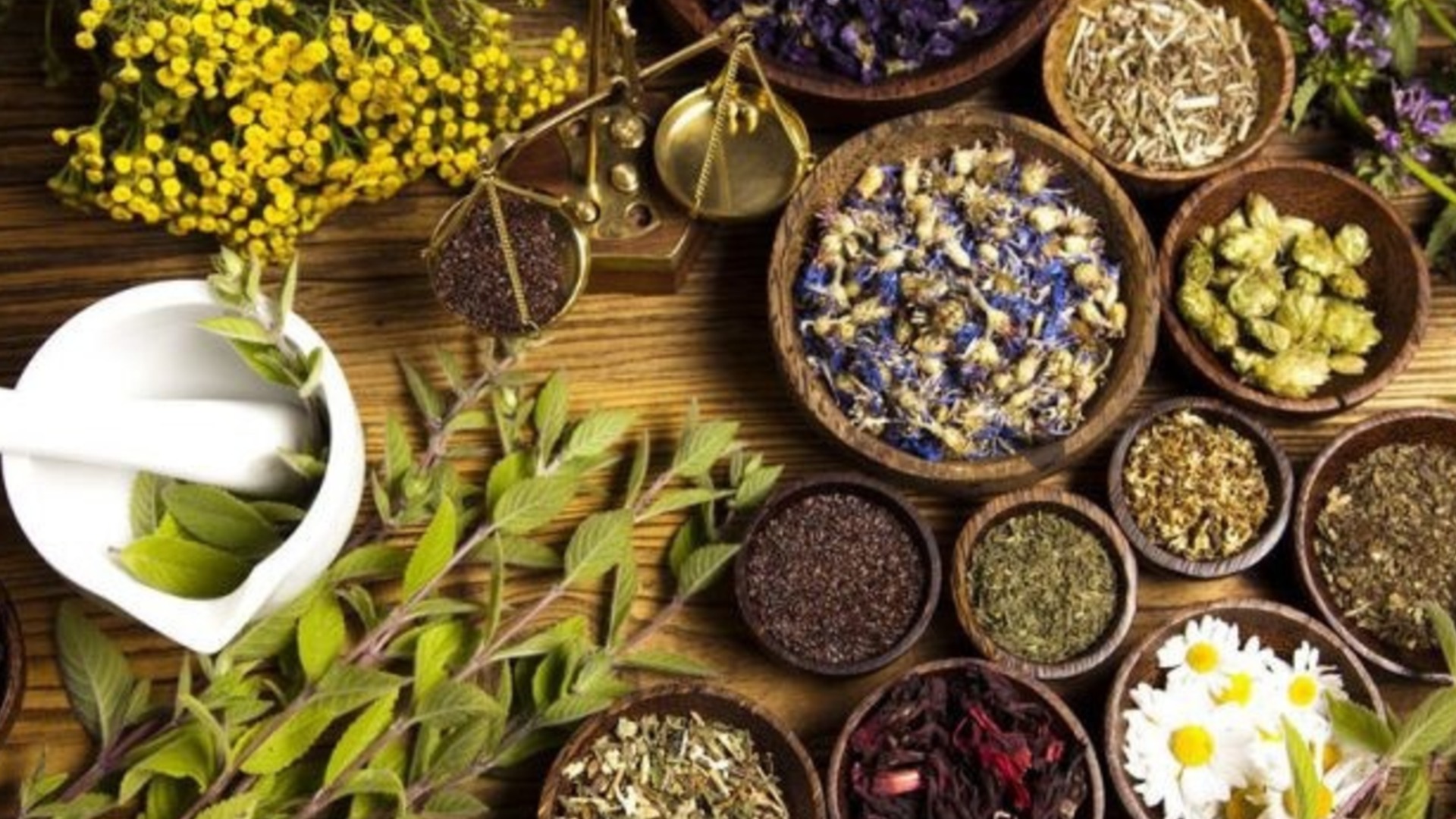 Как вырастить чайный сад