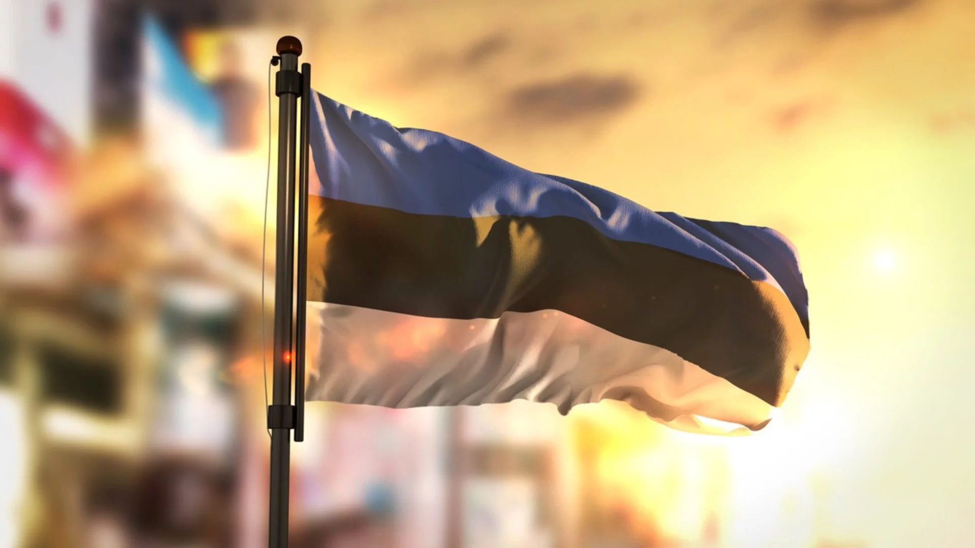 Новый рынок: Что увеличило импорт из Эстонии в Болгарию во много раз?