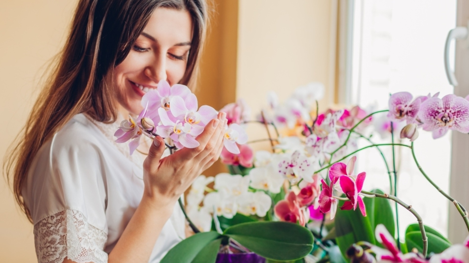 Всего 1 ошибка может помешать орхидее зацвести – проверьте, допустили ли вы ее