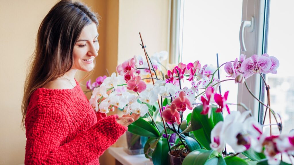 Самые подходящие растения для питомника