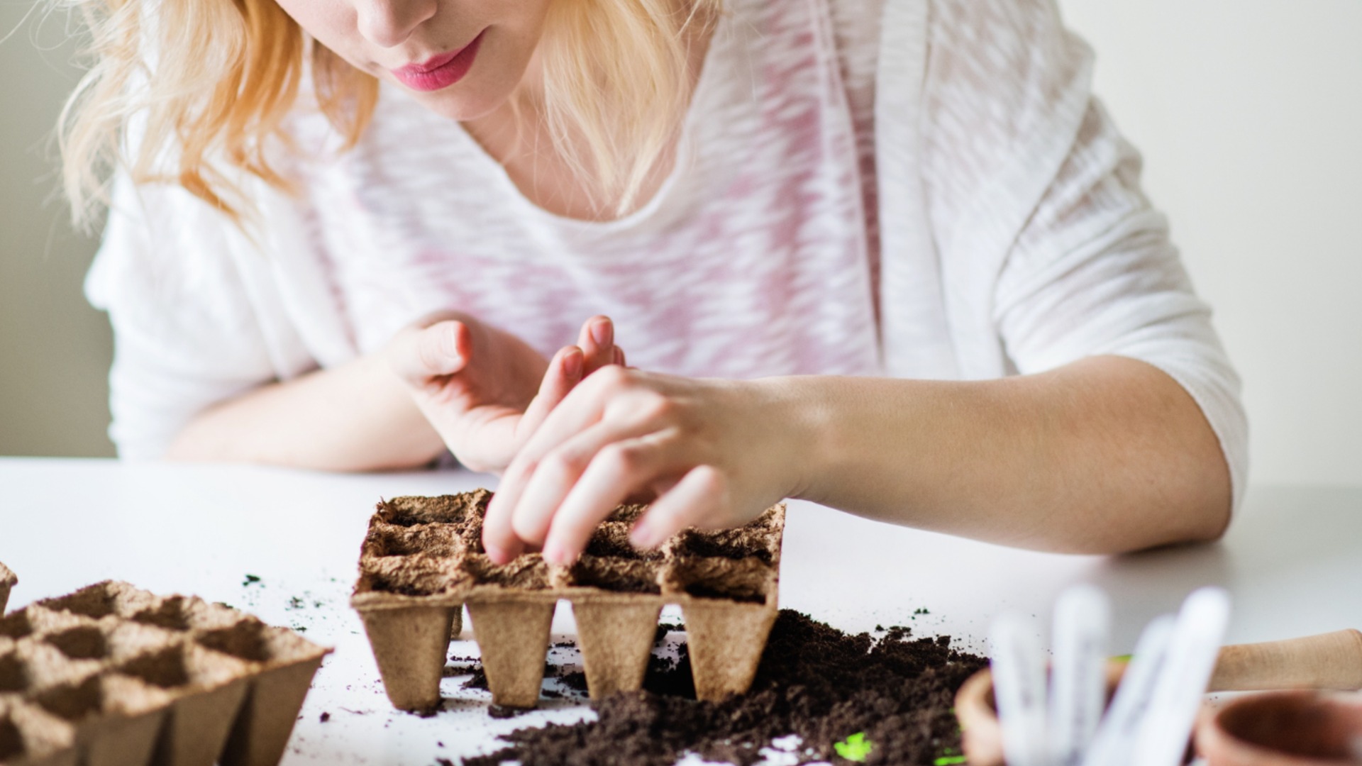 Когда лучше сажать рассаду перца в 2026 году?