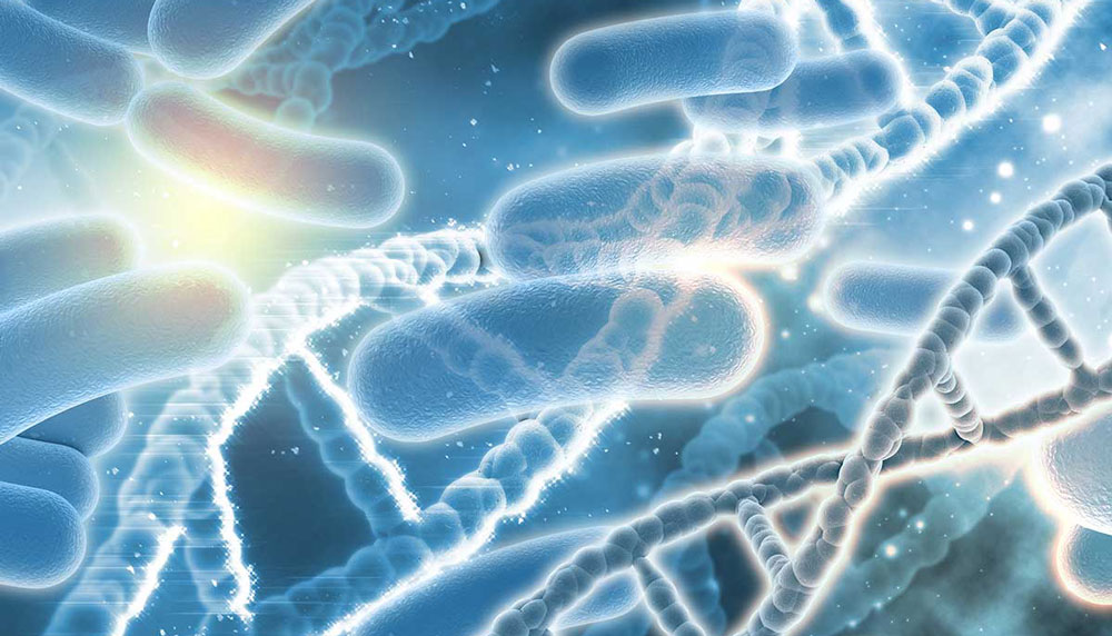 Две компании объединили усилия для разработки лекарств от аутоиммунных заболеваний