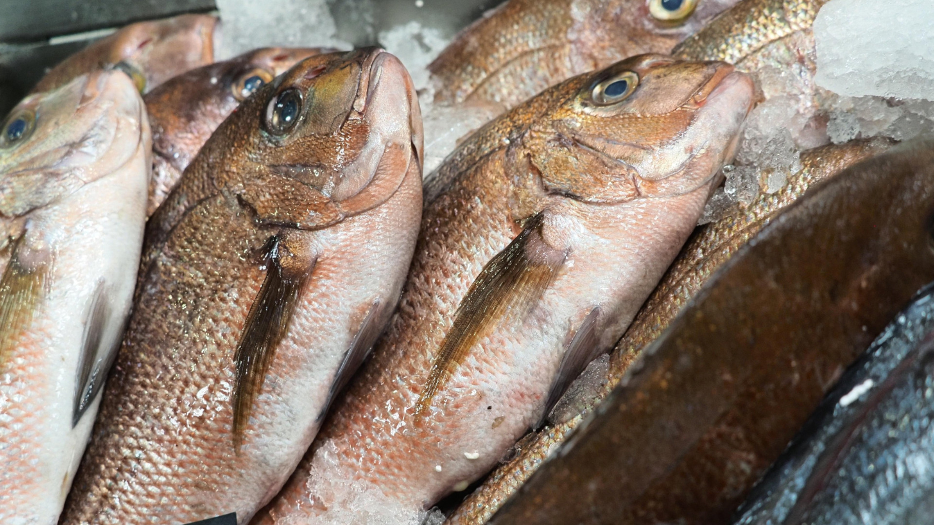 Яркий пример того, как западные санкции против России на самом деле не работают, потому что их редко применяют.