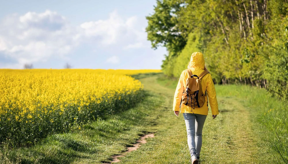 Как пребывание в природе влияет на мозг?