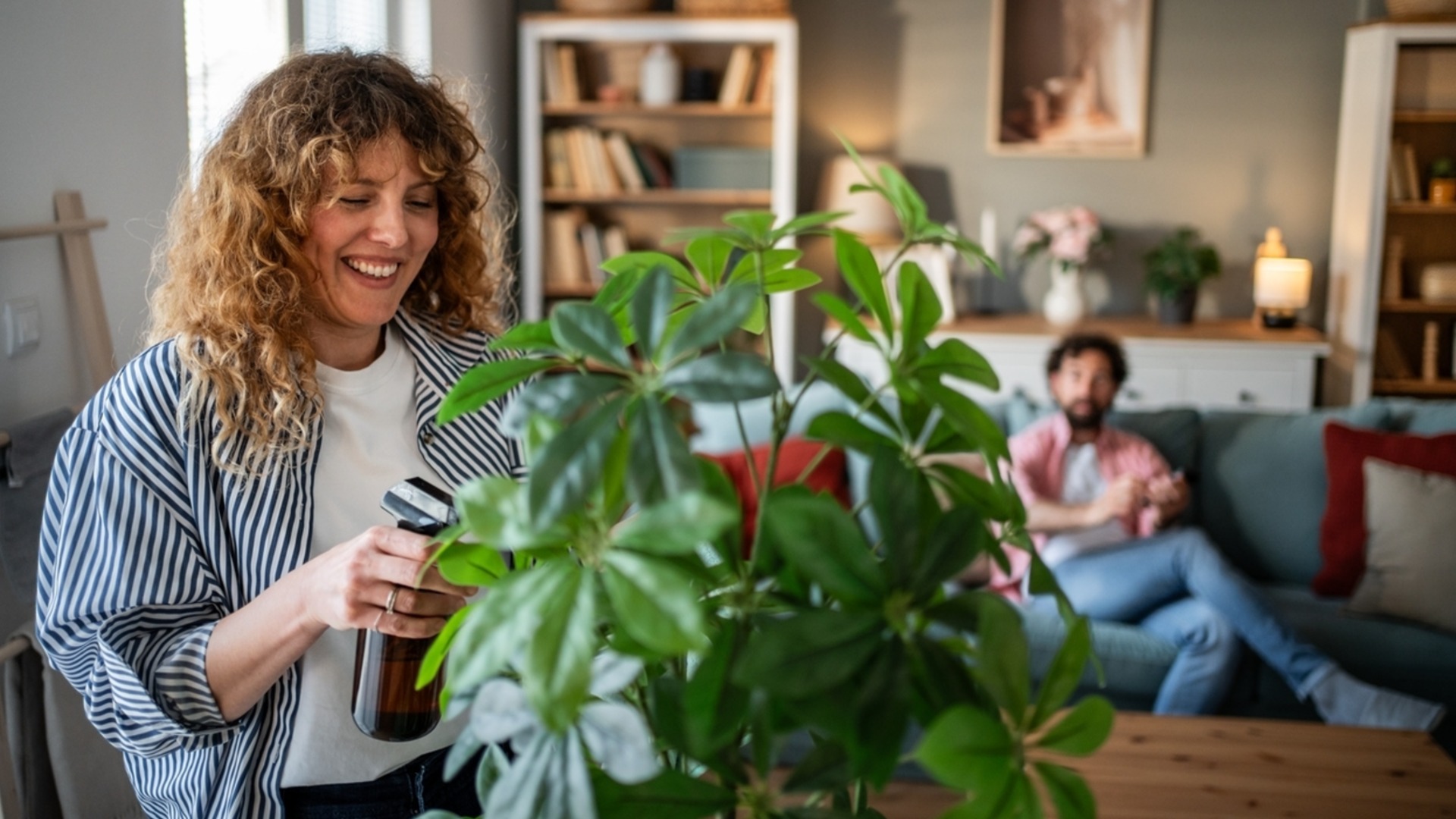 Потрясающее комнатное растение, которое растет без особого ухода.