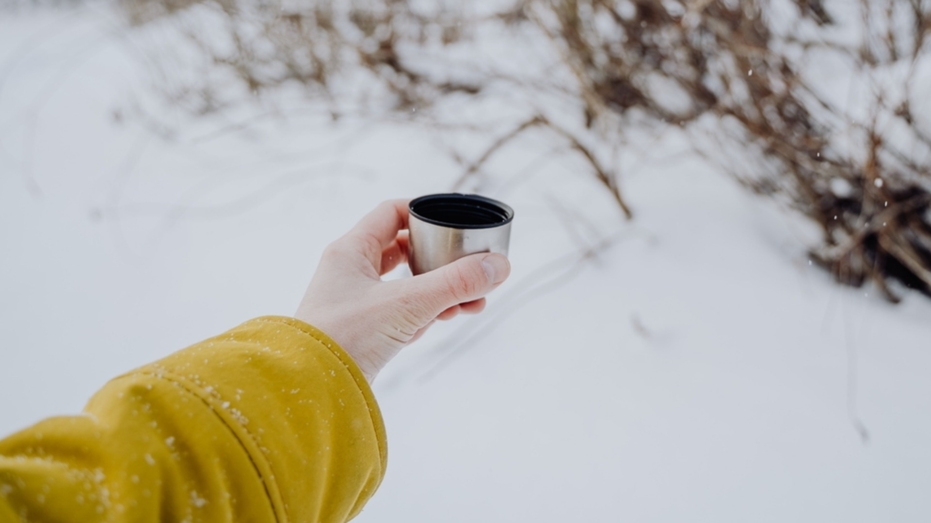 Как использовать ил, чтобы растопить лед