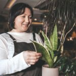 Самая большая ошибка, которую вы допускаете со своим змеиным растением