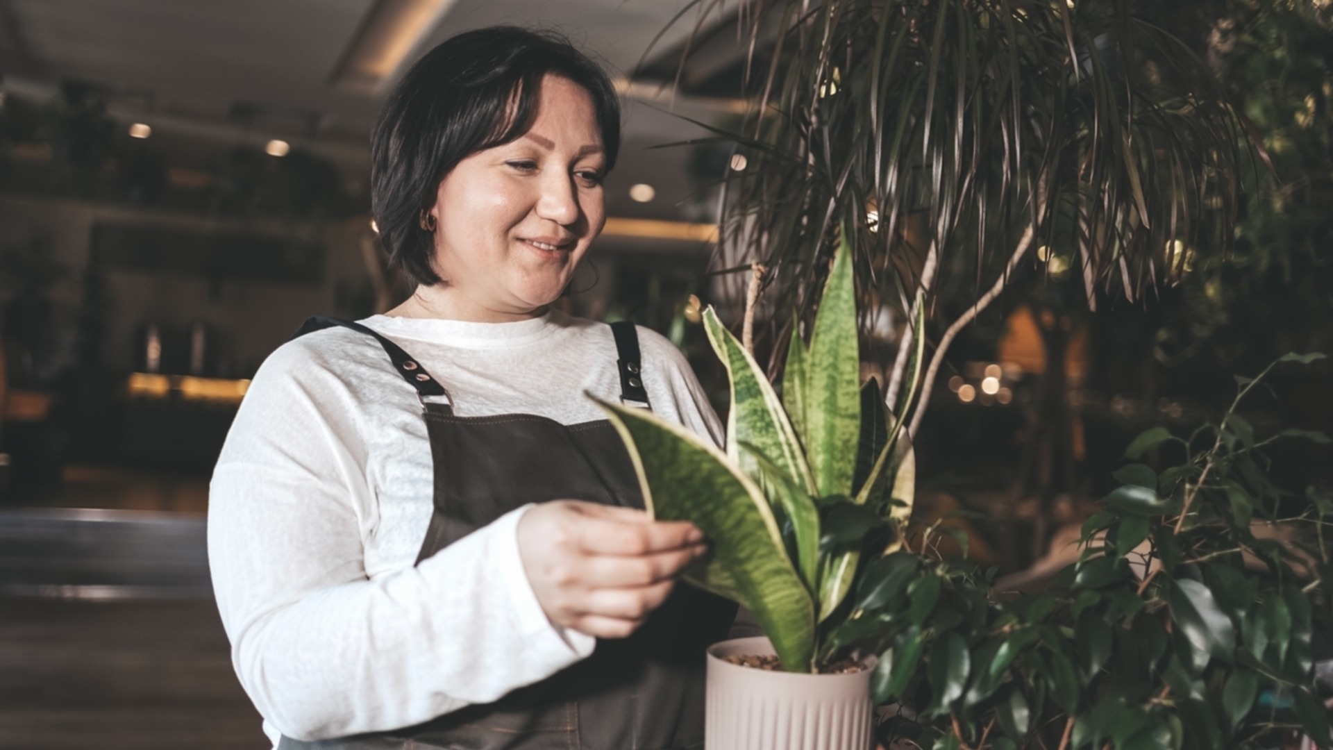 Самая большая ошибка, которую вы допускаете со своим змеиным растением