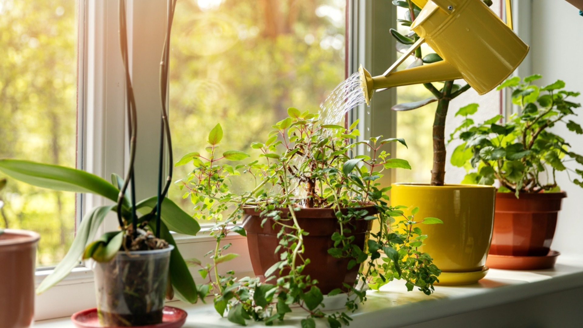 Как защитить корни растений от холодного уступа