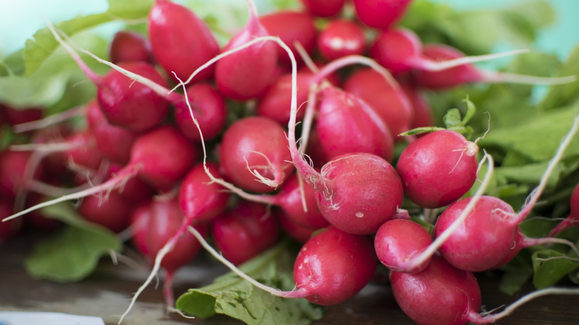 Овощи, которые можно выращивать в подвесных корзинах