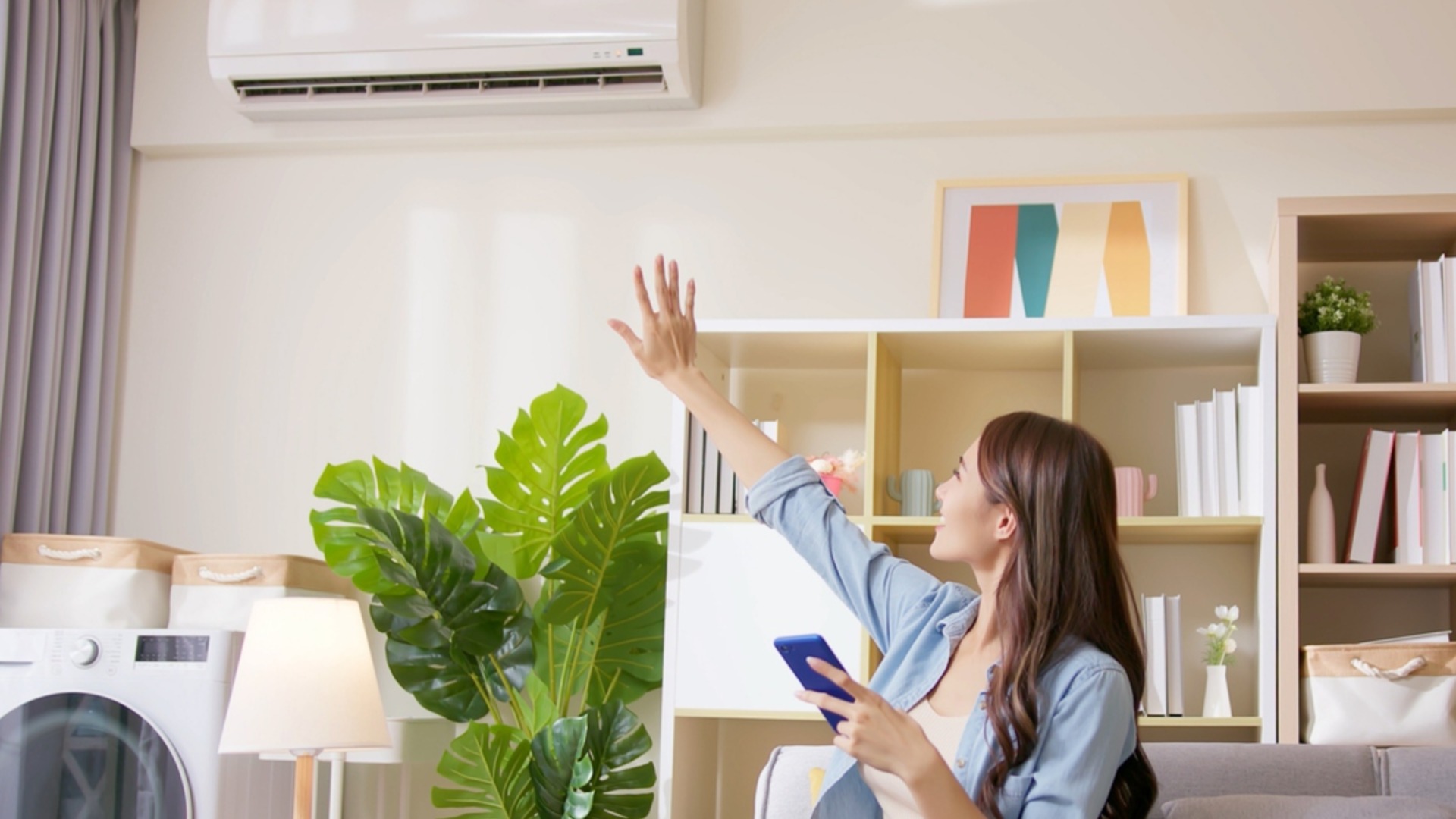 Как защитить растения дома от кондиционера