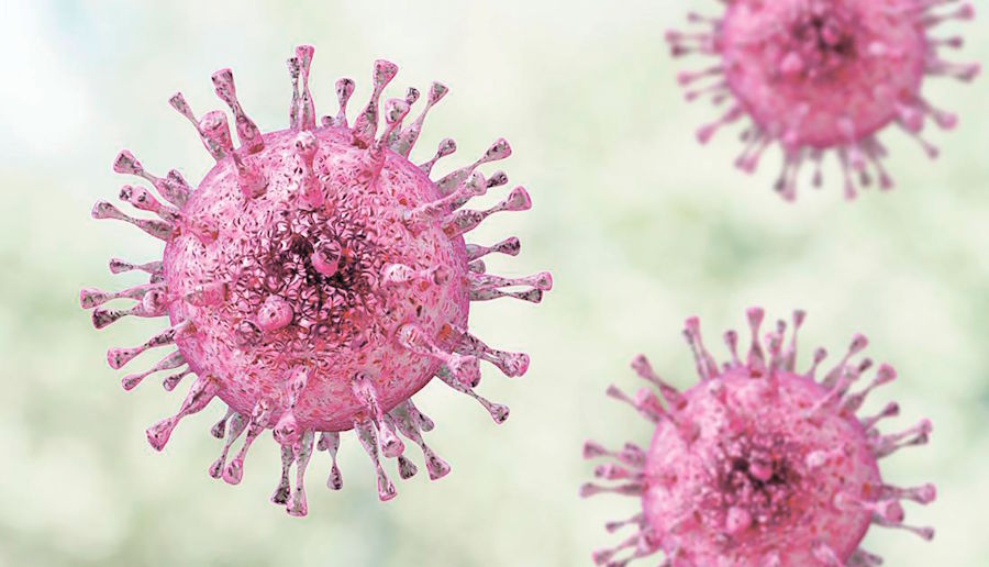 Ученые разработали антитело для блокировки вируса Эпштейна-Барра