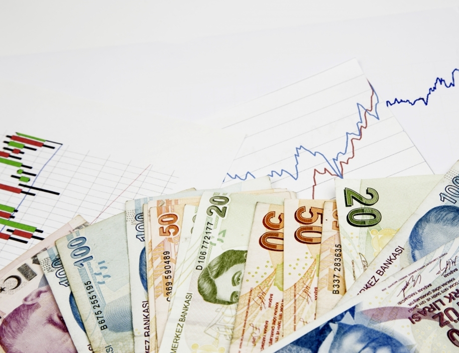 Турецкая лира – Евро. Сколько будет одна турецкая лира в один евро сегодня, 18 февраля /калькулятор валют/