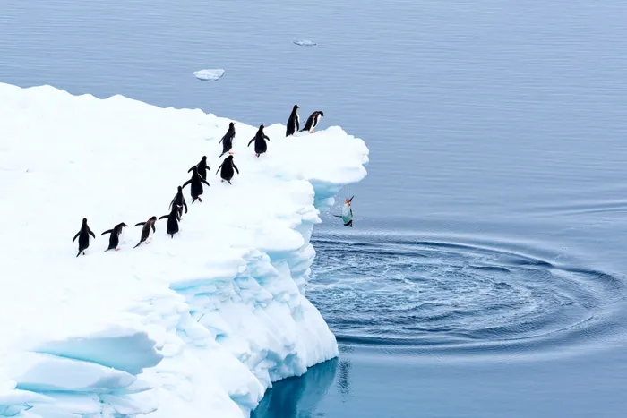 Награды Sony в области фотографии