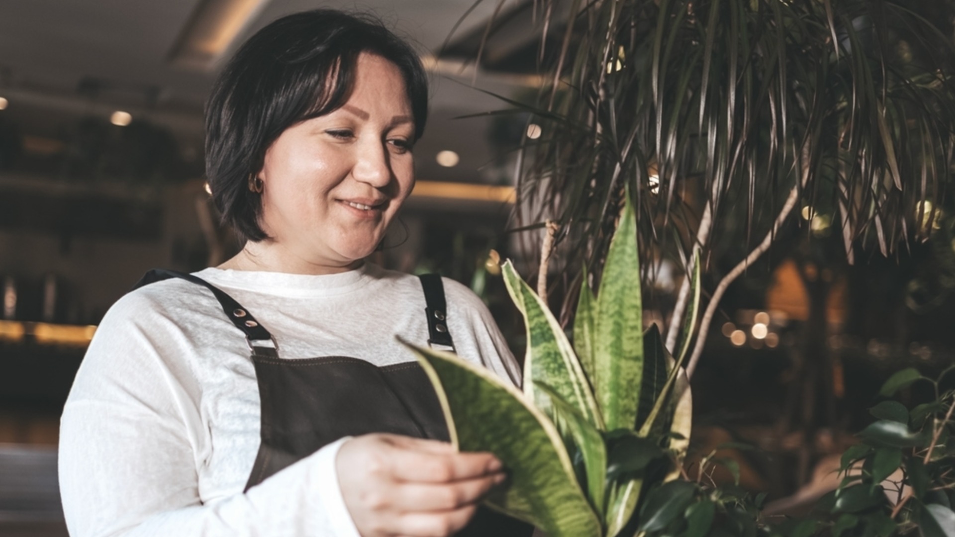 Хитрость, которая поможет вашему змеиному растению процветать