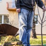 Верный способ проверить состояние деревьев перед весной