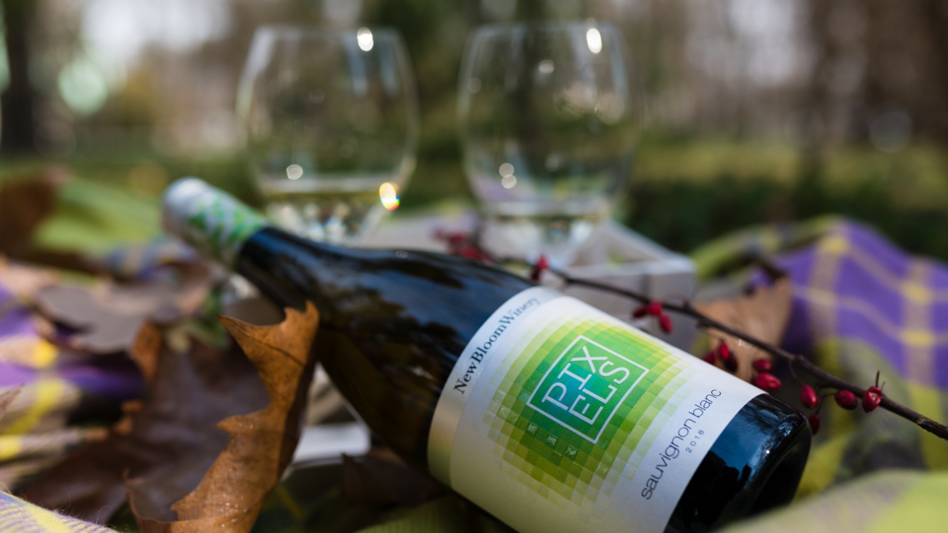 Болгарские вина PIXELS и Face to Face среди звезд Mundus Vini 2026